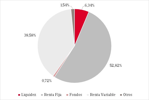 Pie chart showing the percentage distribution of the fund's composition.