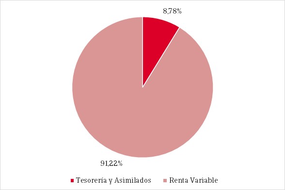 Pie chart showing the percentage distribution of the fund's composition.
