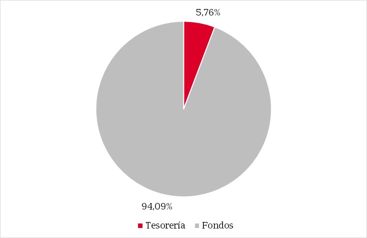 Pie chart showing the percentage distribution of the fund's composition.