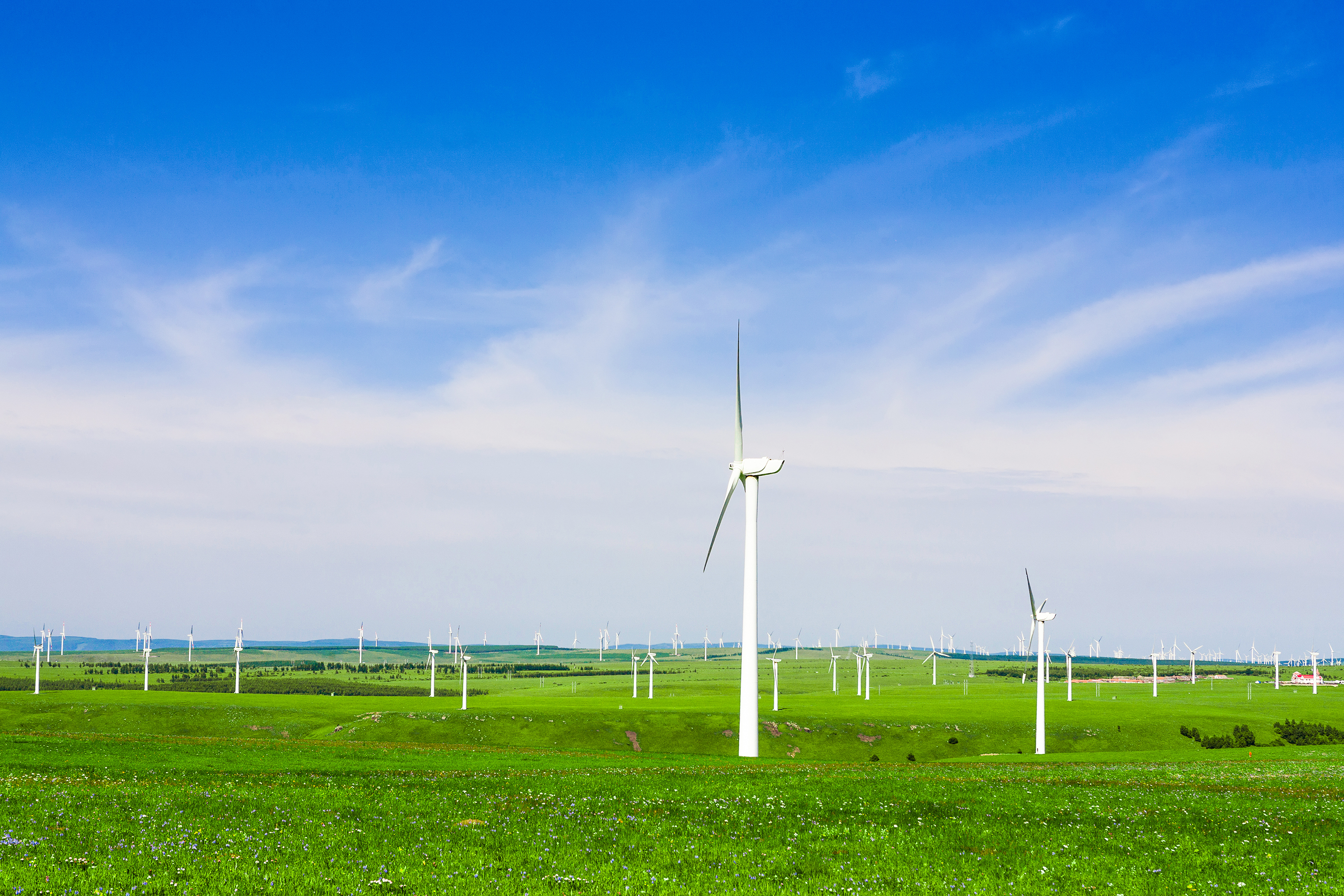 La fiscaliad ecológica promueve las actividades renovables.
