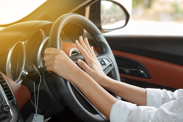 Las multas más curiosas que se han producido en la carretera