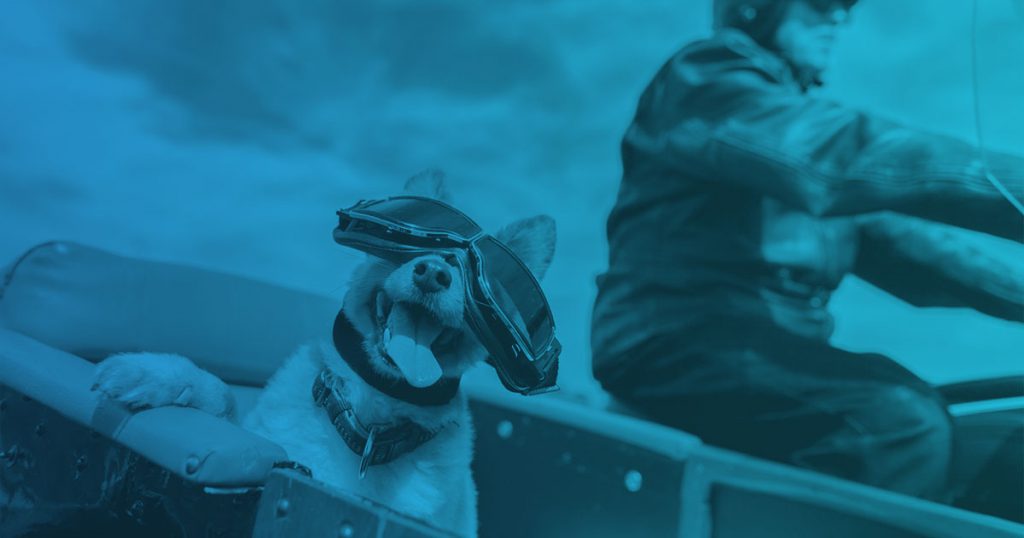 Cómo llevar a tu mascota en la moto de forma segura