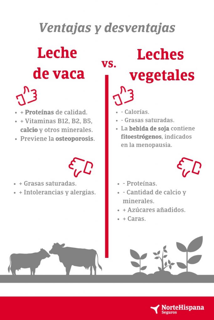 Ventajas de la leche de avena