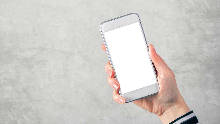 Abogados por teléfono