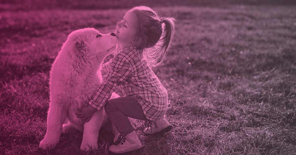 ¿Quieres una mascota? Cuidados, alimentación e higiene del perro