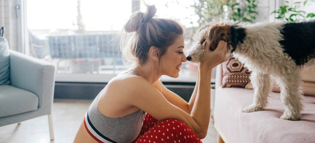 ¿Cuáles son las coberturas del seguro para perros y otras mascotas?