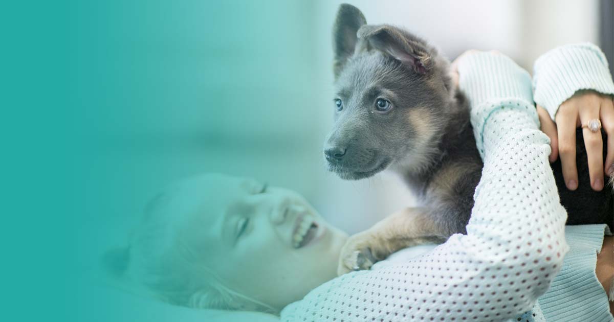 quiero adoptar a un perro: razones para convencer a tu pareja/padres