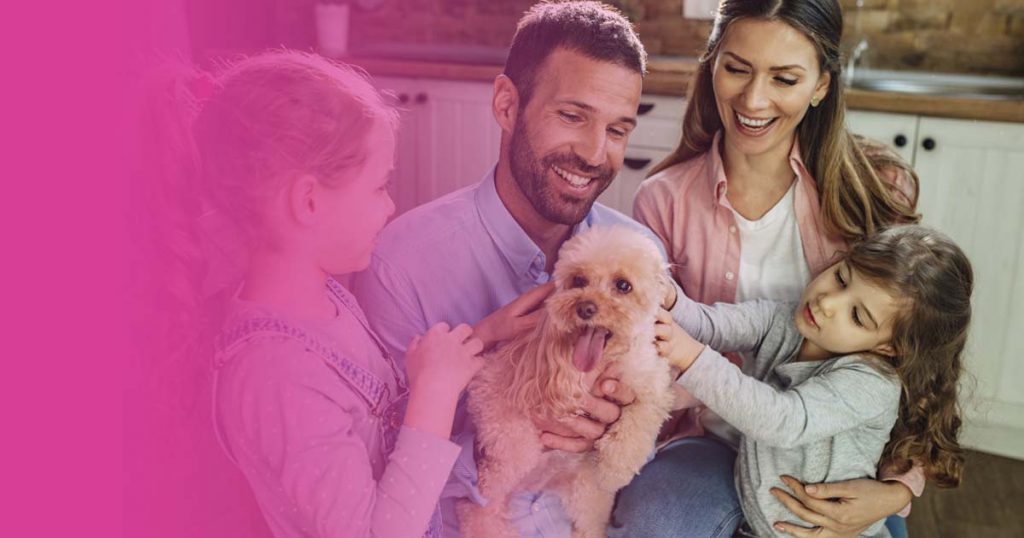 10 Razas de perros hipoalergénicos