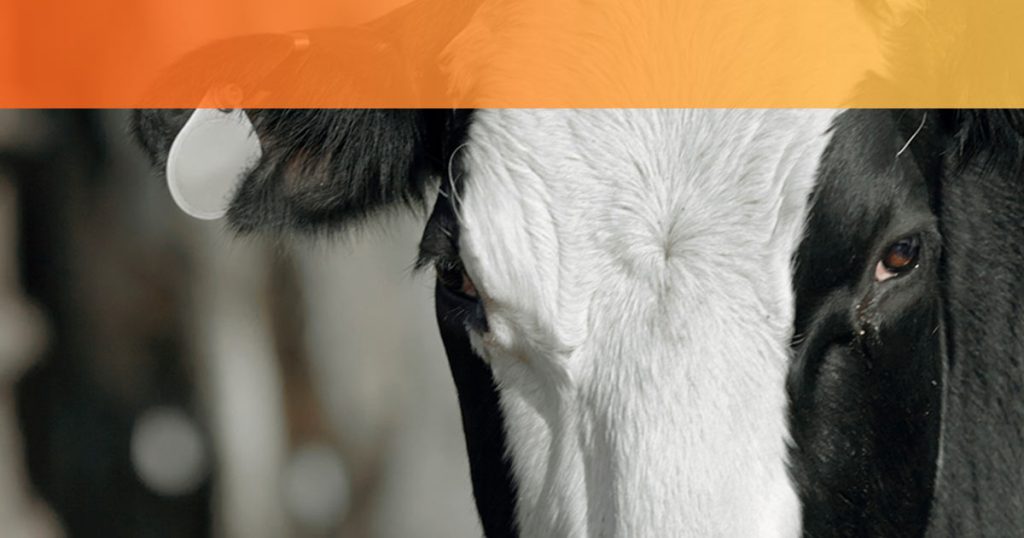 ¿Qué cubre el seguro agrícola? Descubre todo lo que necesitas saber