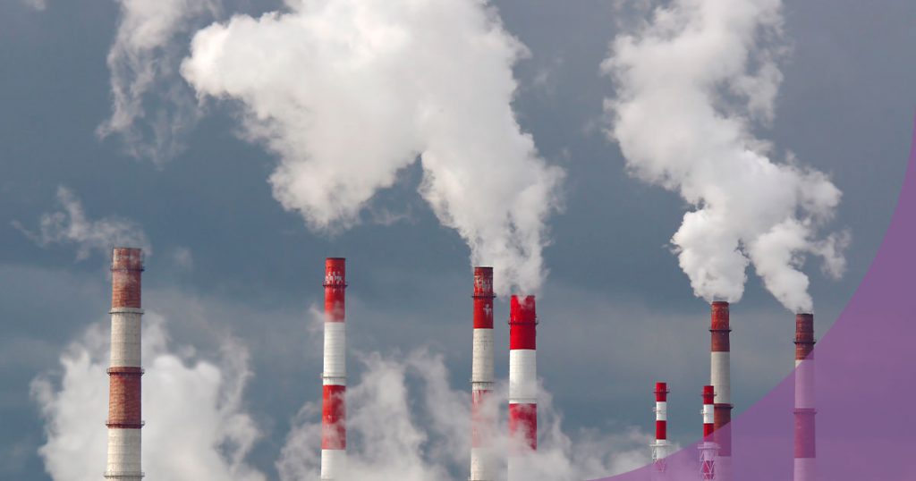 Ley de responsabilidad medioambiental: cómo afecta a empresas y PYMES
