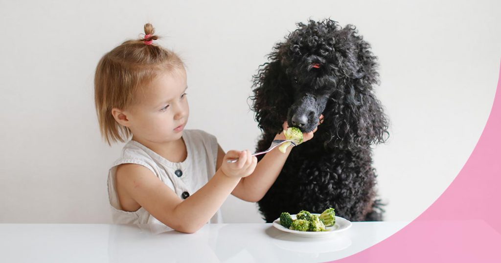¿Es recomendable la dieta BARF en perros? Pros y contras