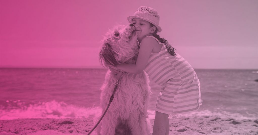 Vacaciones con perro: alternativas para poder disfrutarlas