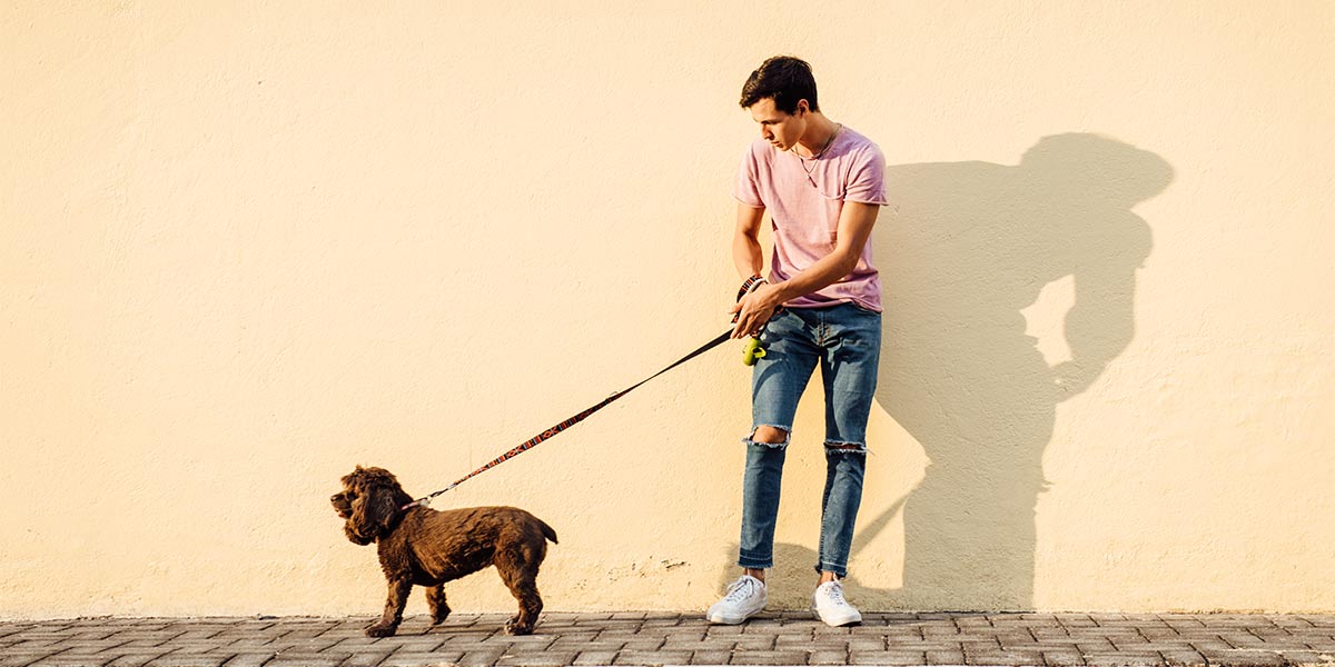 por qué mi perro se niega a salir a la calle