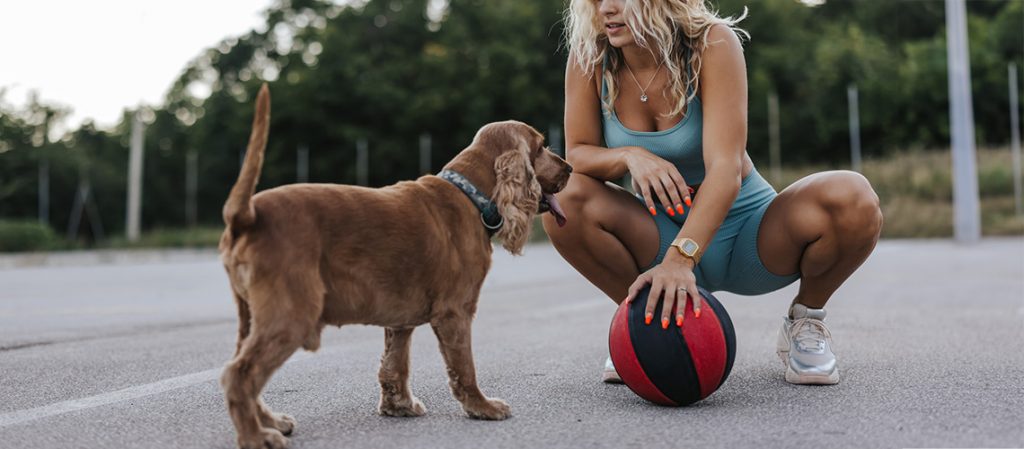 ¿Cuándo es obligatorio el seguro para perros en España? Te contamos todo aquí