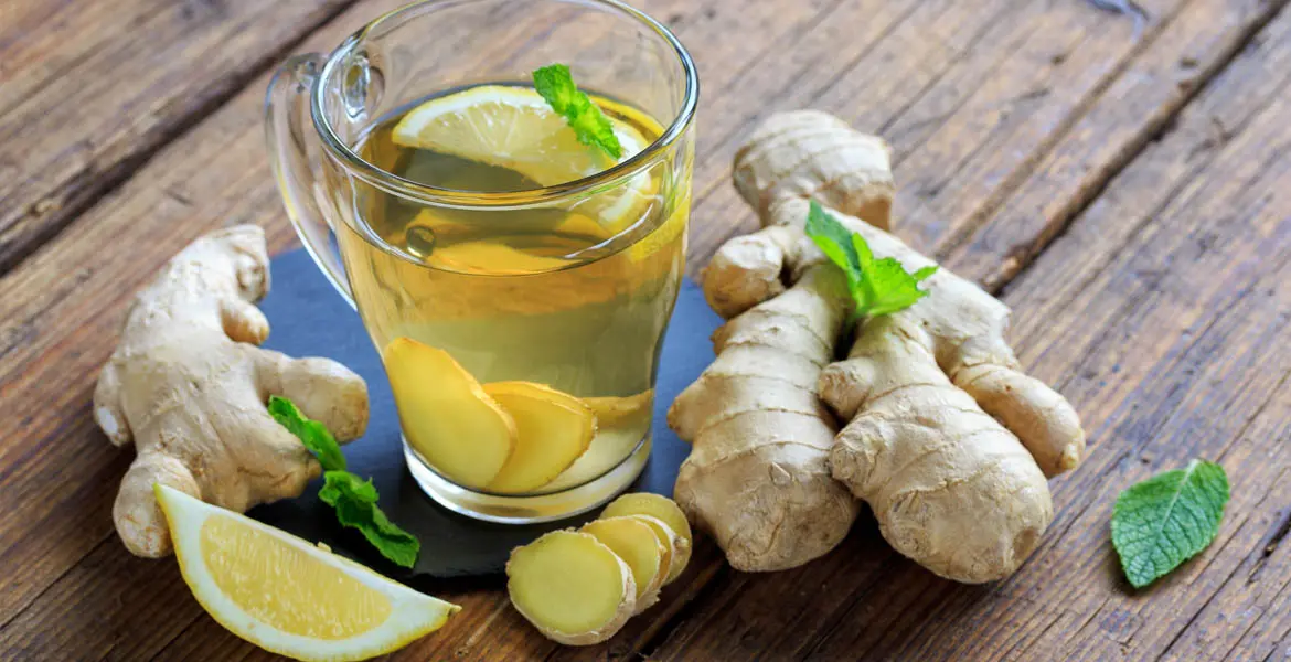 alimentos-contra-la-acidez-y-digestiones-pesadas_banner