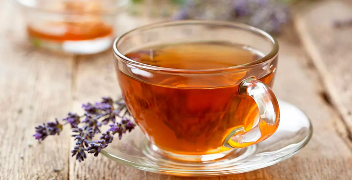 bebidas-digestivas-para-despues-de-las-comidas_banner