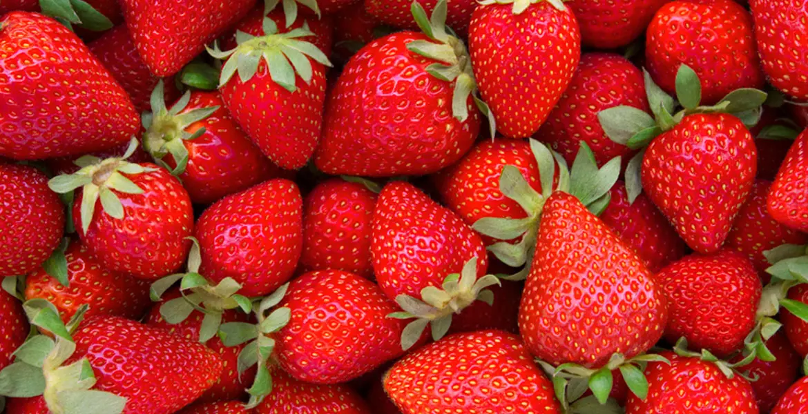 beneficios-de-las-fresas_banner