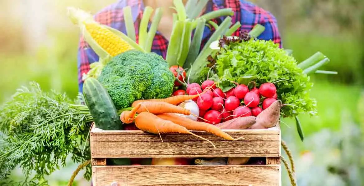 dieta-para-la-dislipemia-alimentos-y-consejos_banner