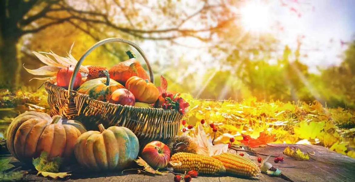 frutas-de-otono-espana_banner