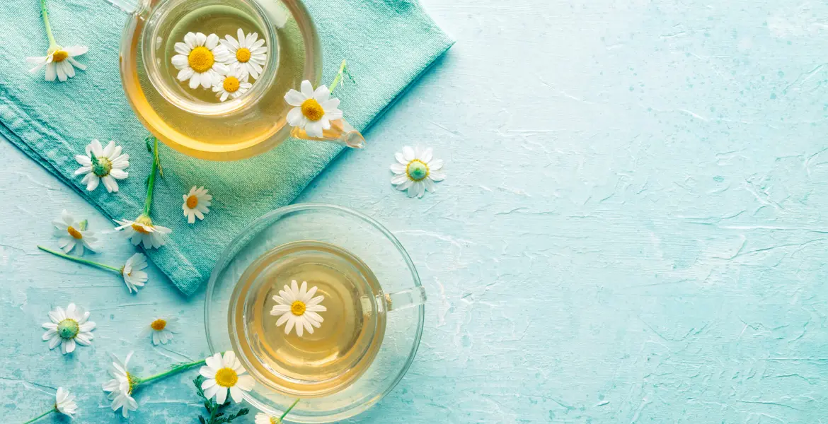 la-manzanilla-sube-la-tension_banner