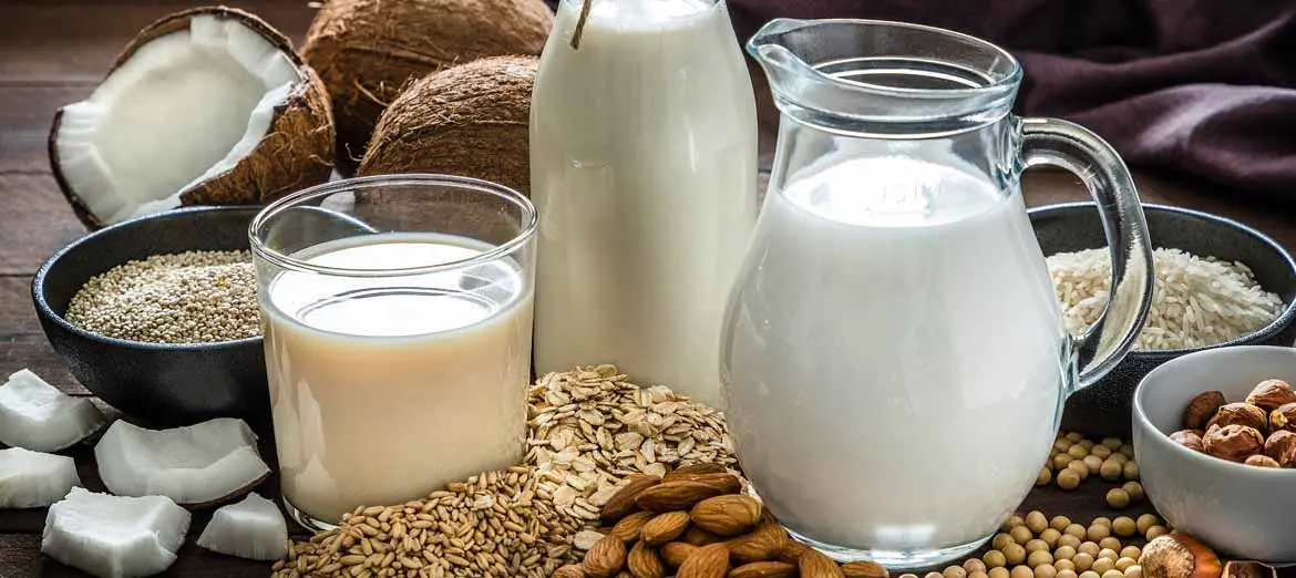 leche-de-avena-o-de-soja-y-bebidas-vegetales_banner