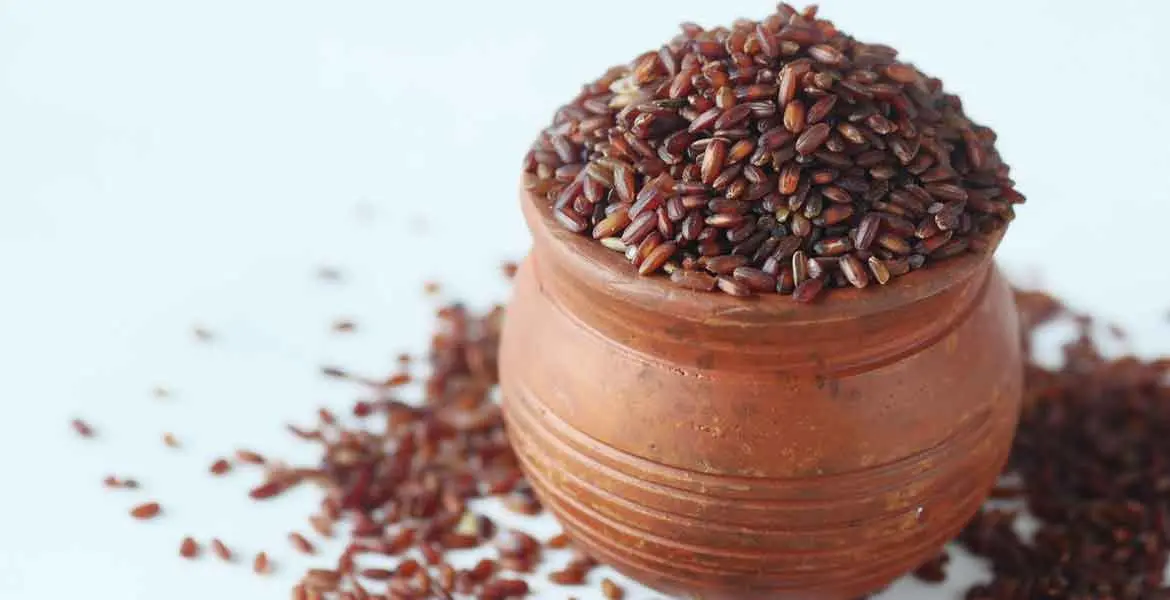 levadura-roja-de-arroz-y-tiroides_banner
