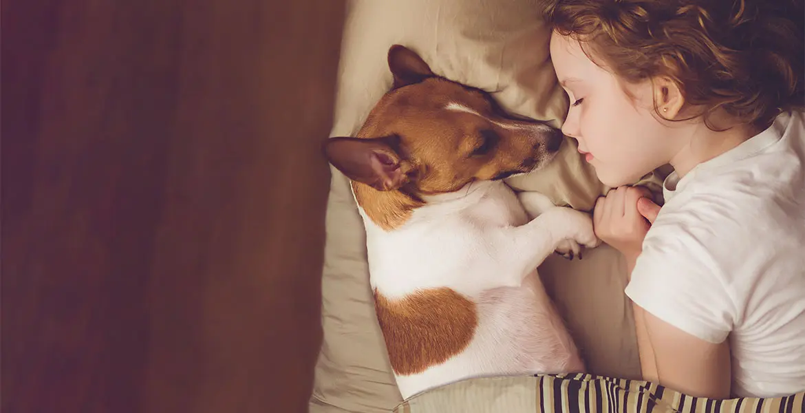 mejores-razas-de-perros-para-ninos_banner