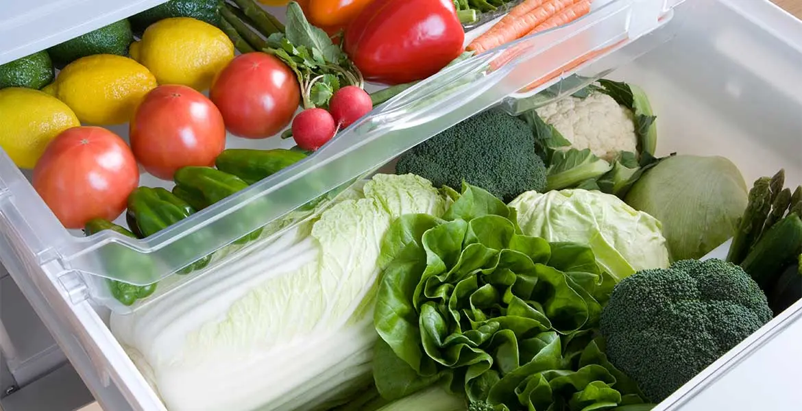metodos-conservacion-alimentos_banner