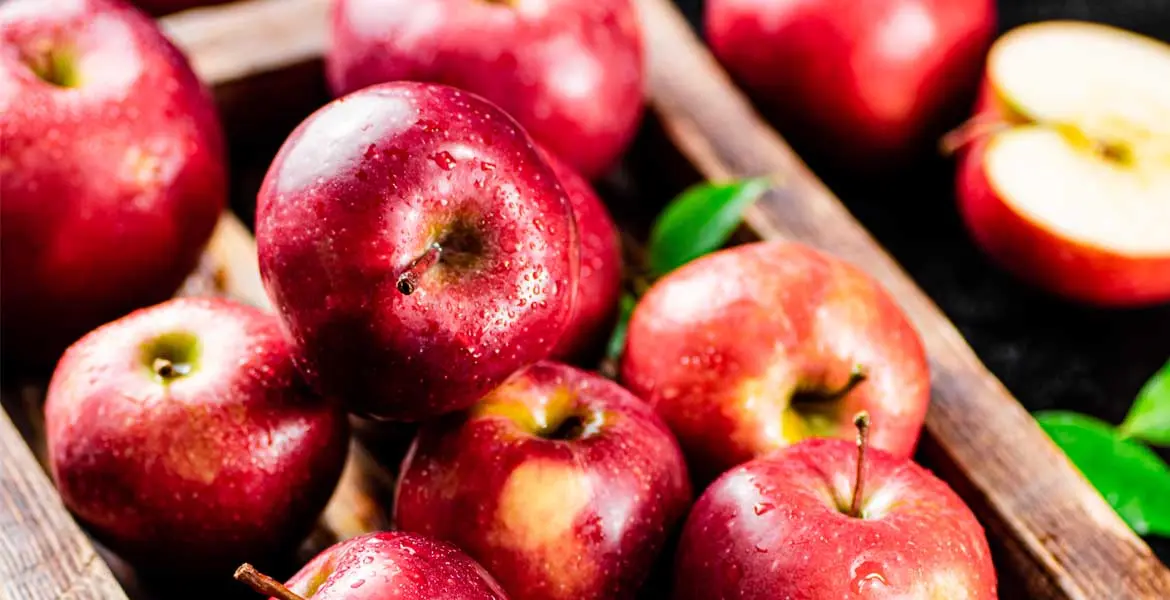 que-comer-con-ardor-de-estomago_banner