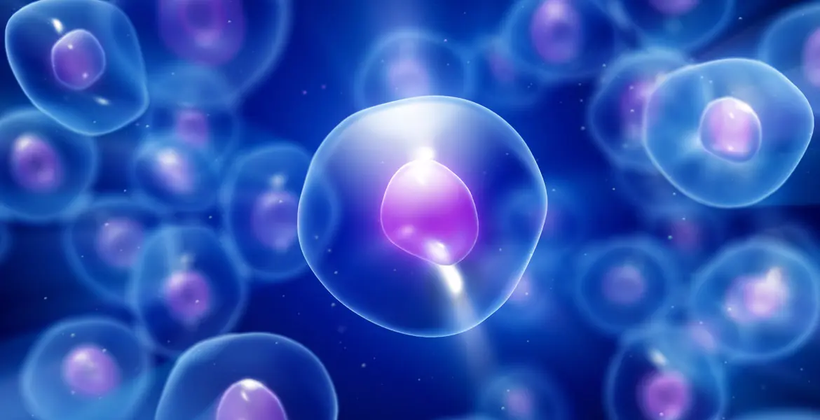 que-es-la-nutricion-celular_banner