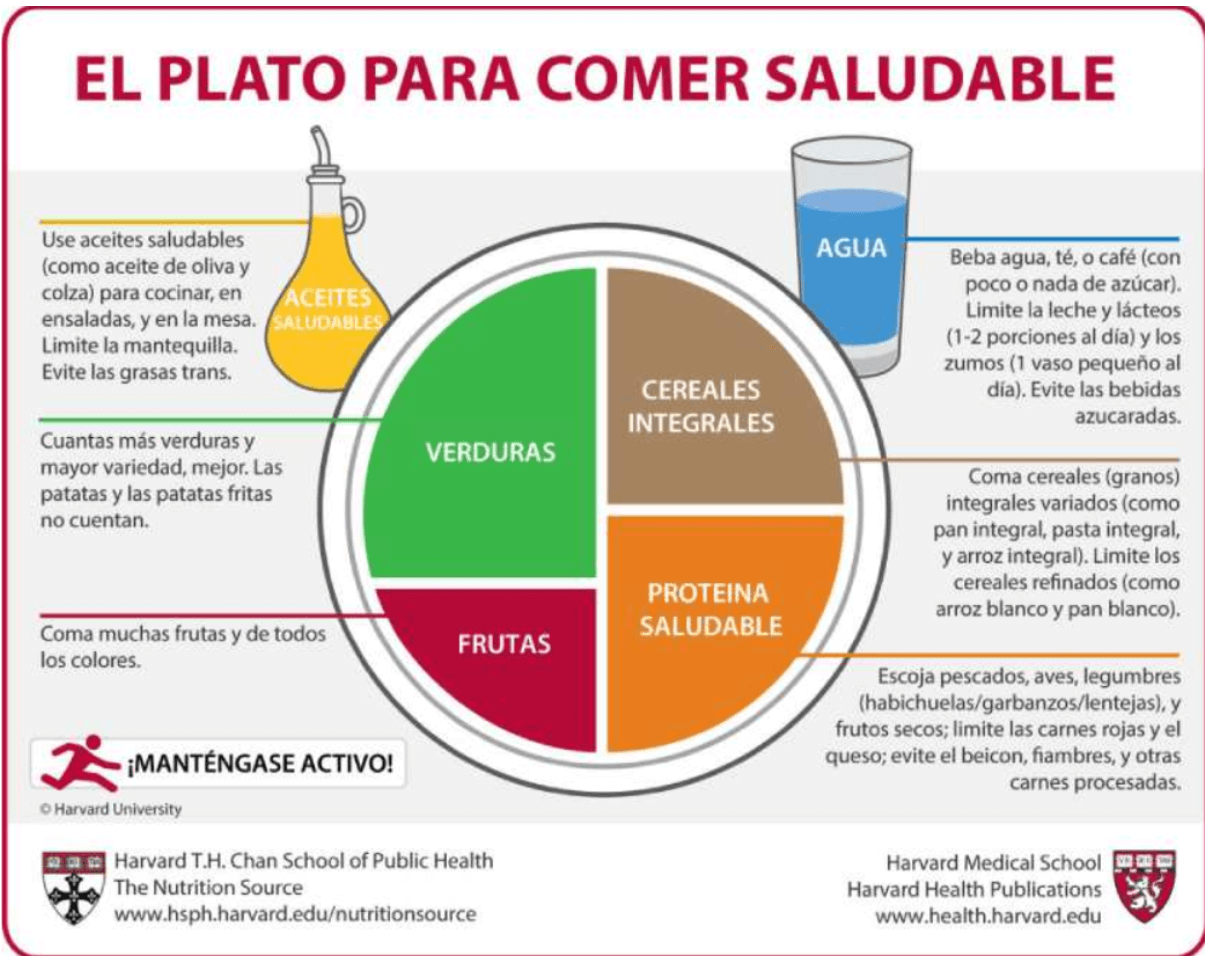 pautas nutricionales Harvard