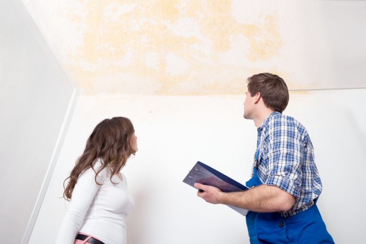 qué se considera vicio oculto en una vivienda