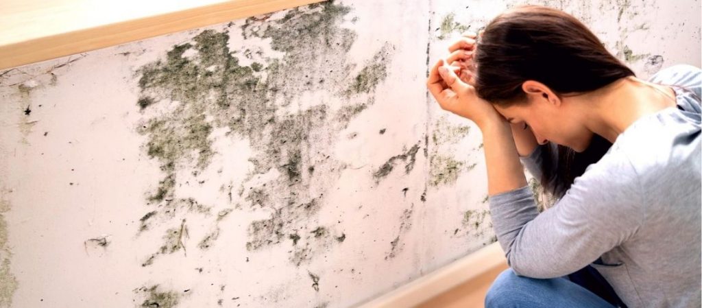 ¿Quién debe pagar las humedades por condensación, el inquilino o el propietario?