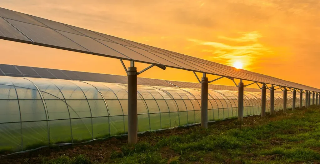 ¿Sabes cómo afecta el cambio climático a los cultivos y ganado y sector agrario?