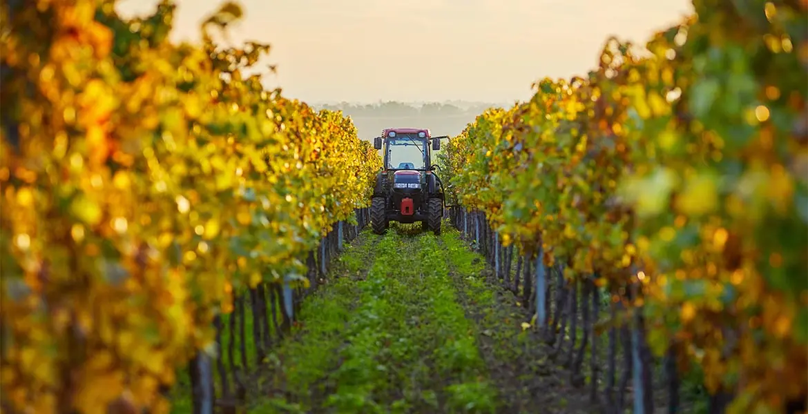 La cobertura de accidentes en el campo en el sector agrícola