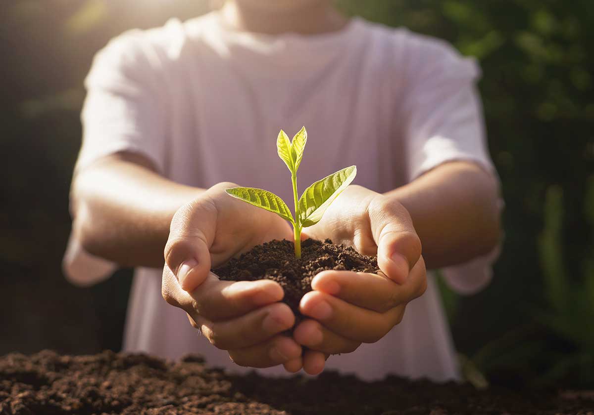 Seguros de ahorro para familias