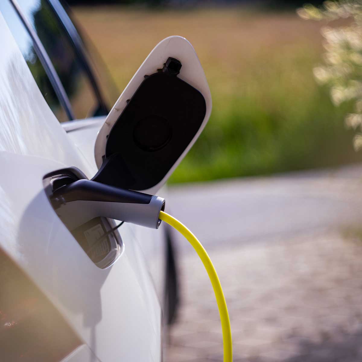seguros coche electricos hibridos