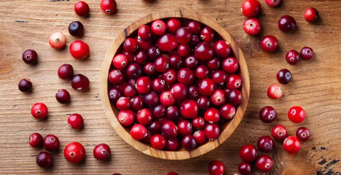 propiedades del arandano rojo