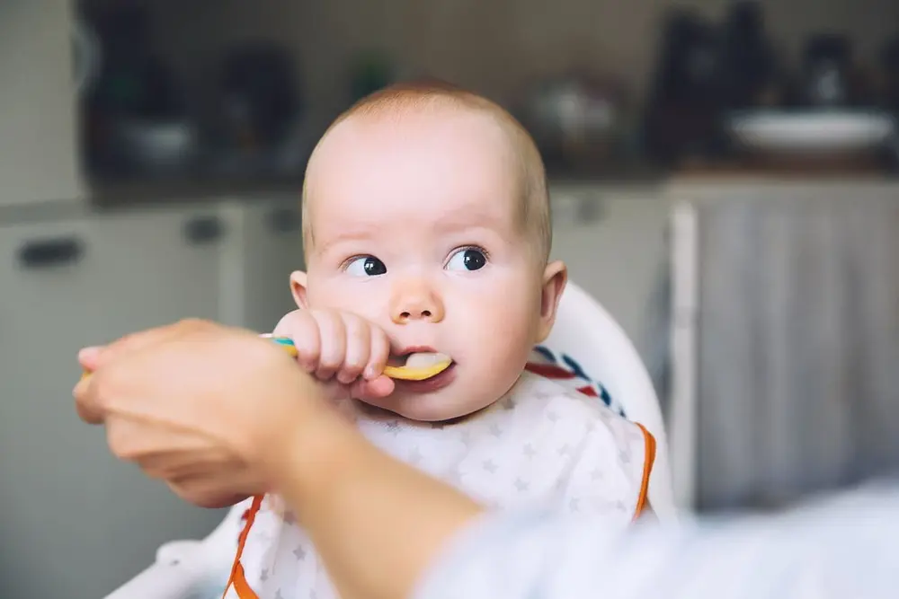 primeras comidas bebes
