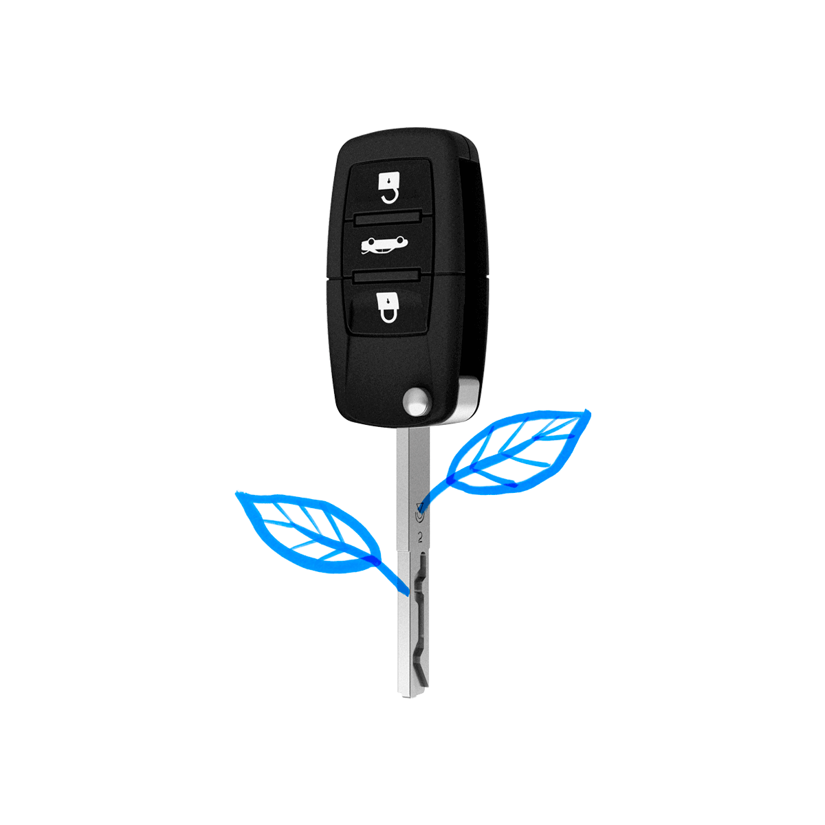 Coche renting particulares