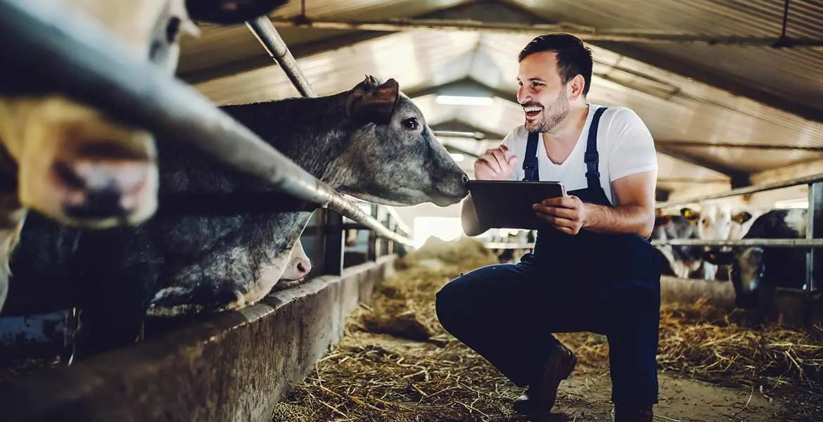 ganaderia extensiva e intensiva