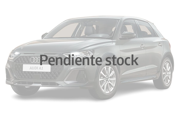 Renting Audi A1