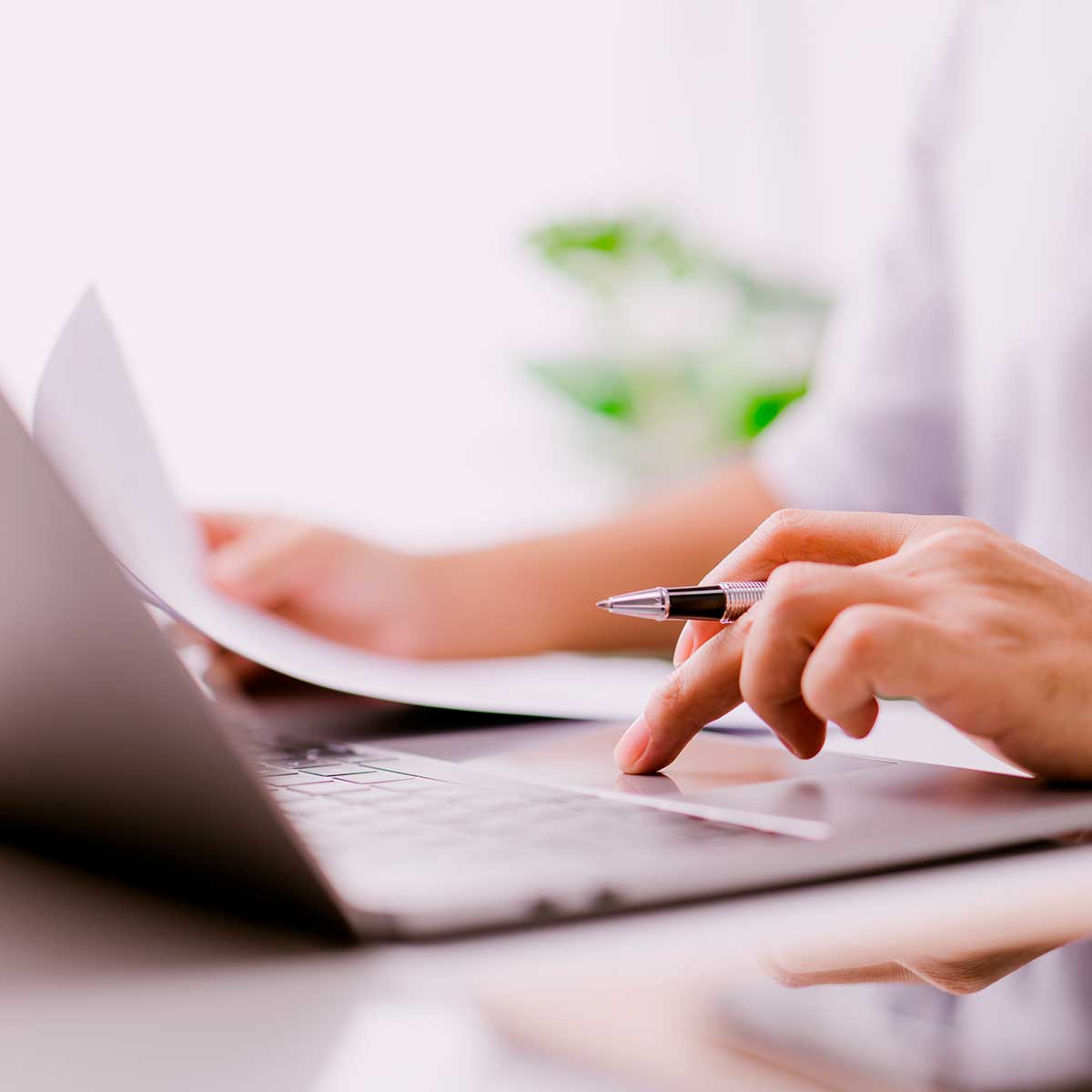 Online testamentua Ezabatze digitala