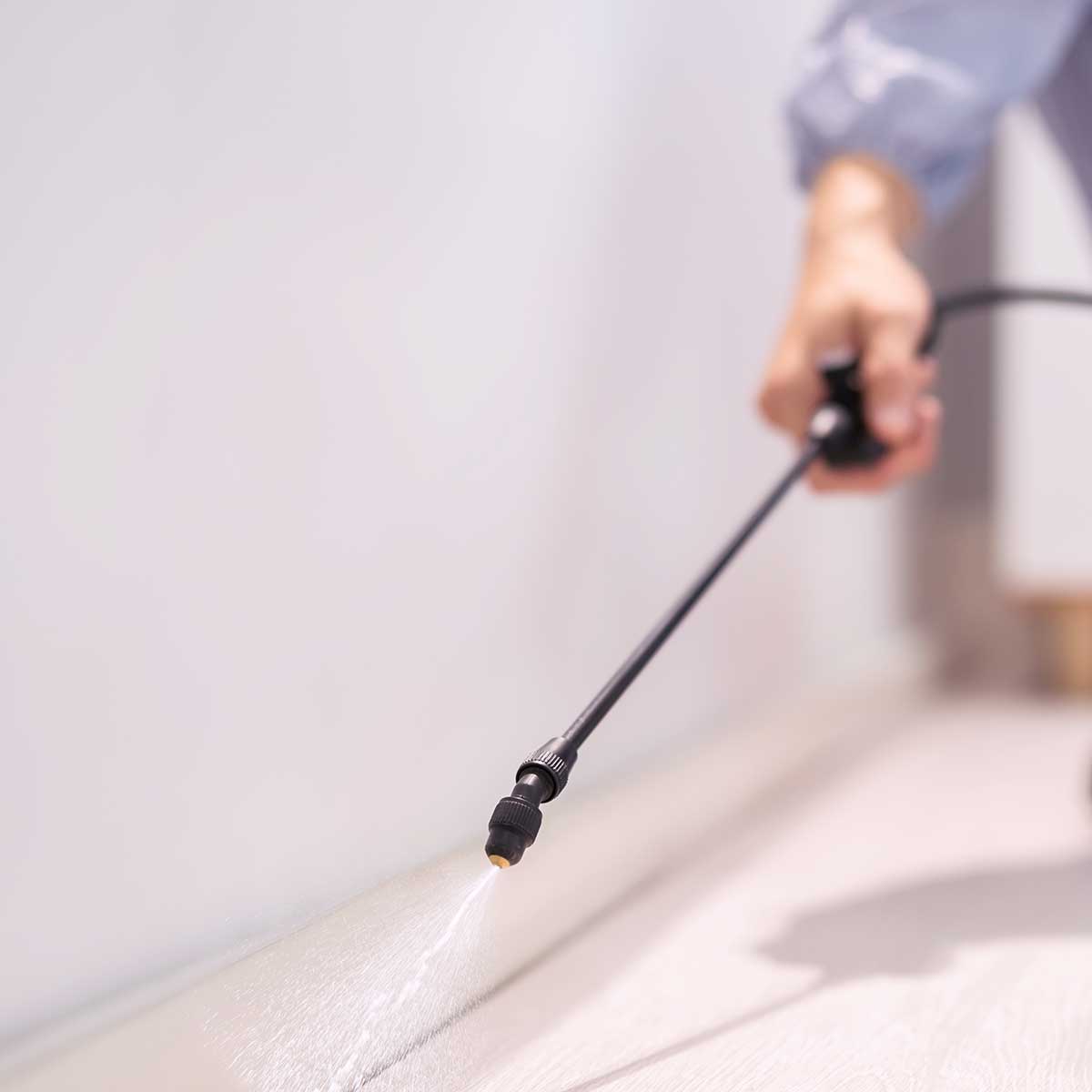 Control plagas precio